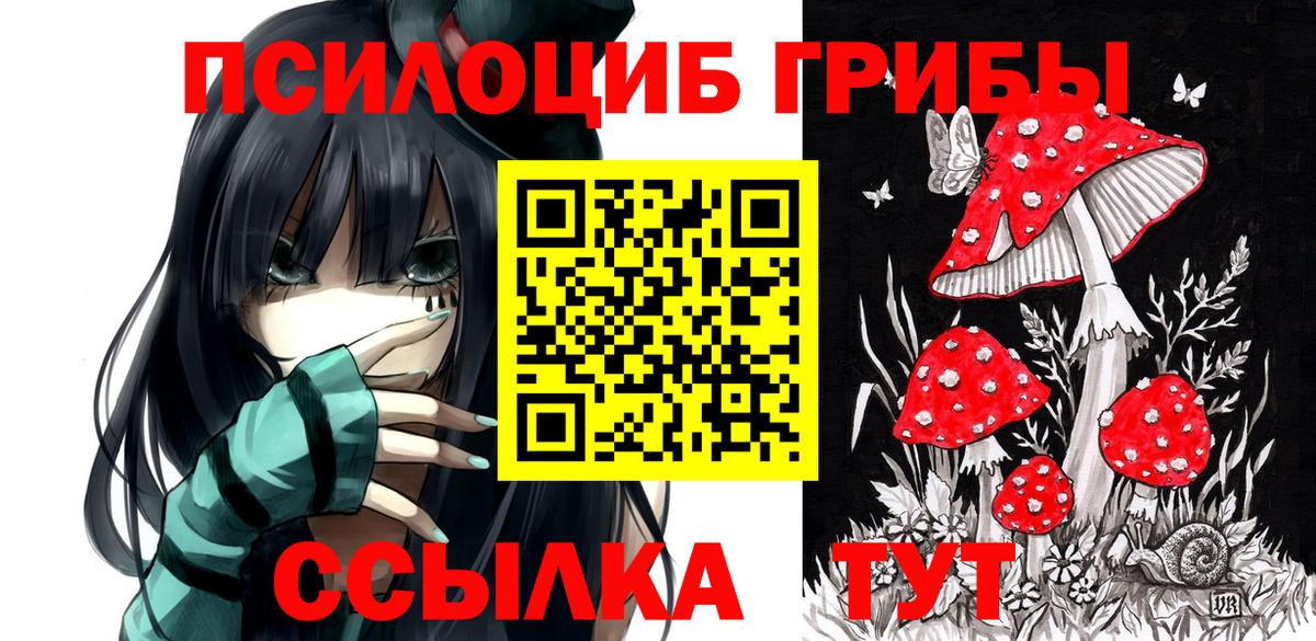Ярцево  Галлюциногенные грибы Psilocybe  продажа наркотиков  Вход с VPN  Галлюциногенные грибы MAGIC MUSHROOMS 